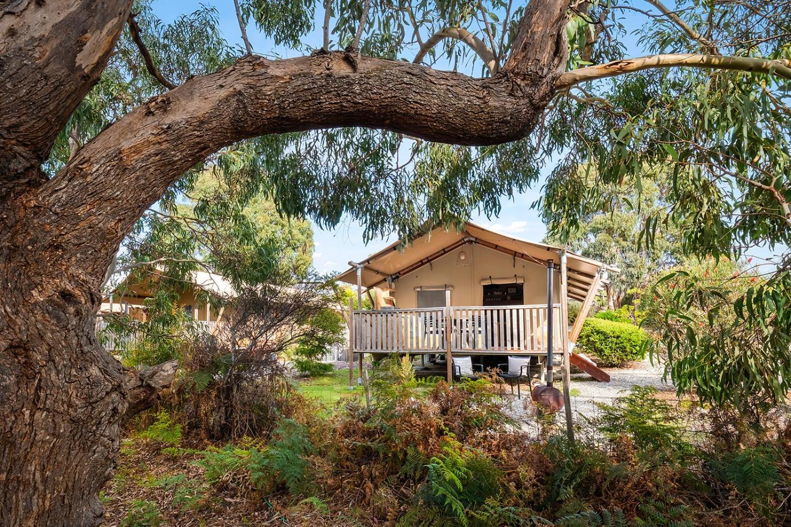 Scamander Sanctuary Holiday Park Exterior photo